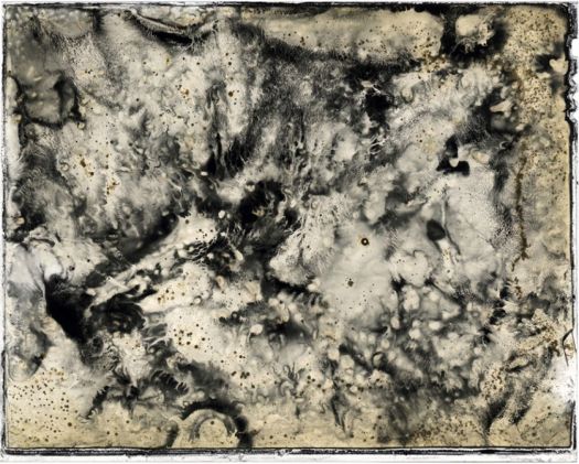 Caleb Charland, A Picture of Grey Eaten by Bacteria, 2009