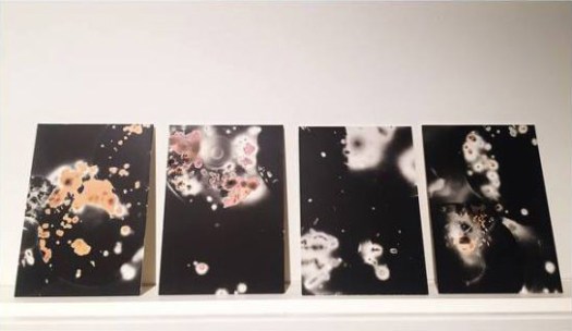 10400043_728036840639687_1860272735257264946_n