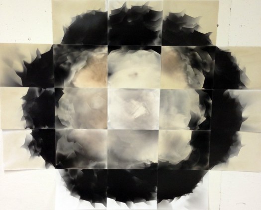 "Retinoblastoma," 21 unique unfixed gelatin silver prints, 40" x 50", 2016 David Ondrik