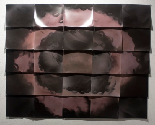 "Retinoblastoma," 25 unique unfixed gelatin silver prints, 40" x 50", 2016 David Ondrik