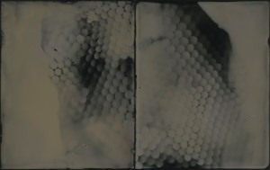 Origins, unique tintype photogram, 5" x 8", 2017, David Ondrik