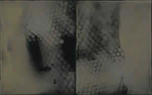 Origins, unique tintype photogram, 5" x 8", 2017, David Ondrik