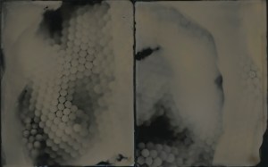 Origins, unique tintype photogram, 5" x 8", 2017, David Ondrik