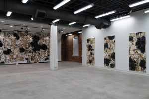 Bolivar Art Gallery, 2020