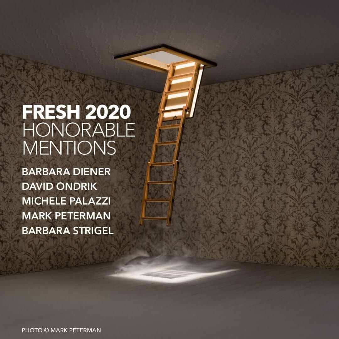 Fresh 2020 Honorable Mentions: Barbara Diener, David Ondrik, Michele Palazzi, Mark Peterman, Barbara Strigel