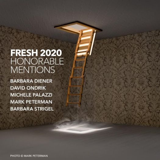 Fresh 2020 Honorable Mentions: Barbara Diener, David Ondrik, Michele Palazzi, Mark Peterman, Barbara Strigel