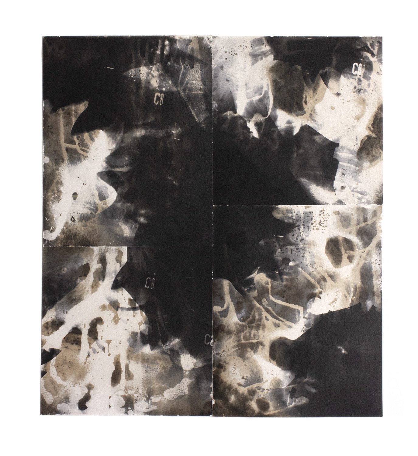 C8, 2020, gelatin silver paper, 18" x 16"