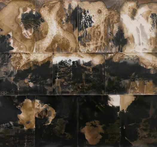 Convinced the Liberals it's Okay, 2021, unique gelatin silver prints, 28" x 30"