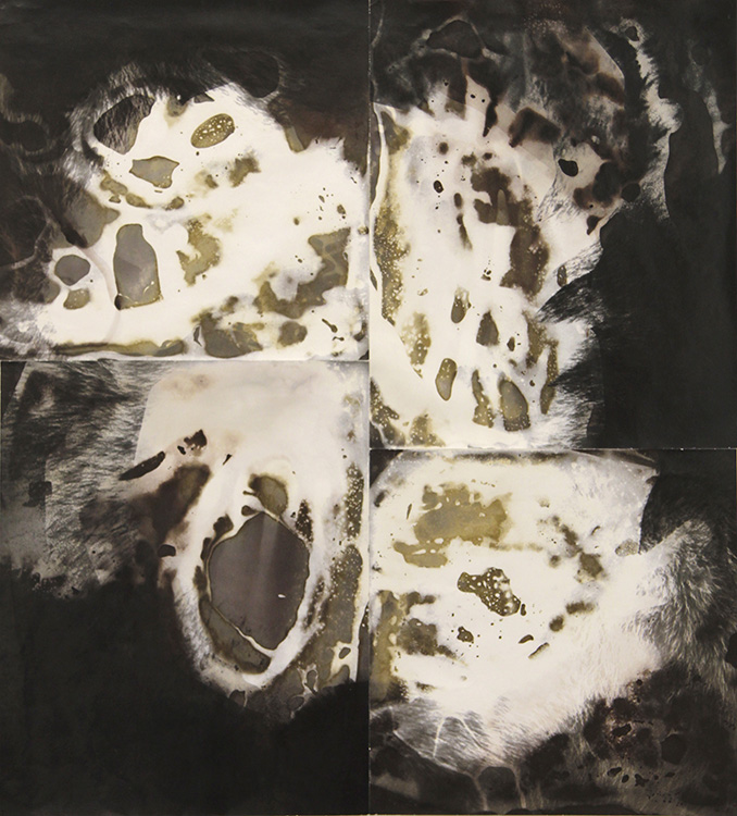 Non-Game, 2020, gelatin silver paper, 18" x 16"