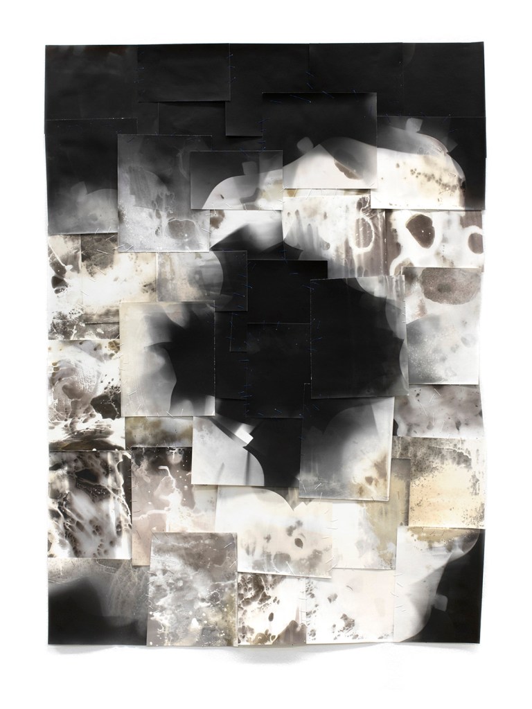 Burst, 2024, gelatin silver paper, thread, varnish, on gessoed canvas, 40" x 30"