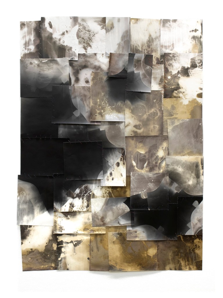 Gasp, 2024, gelatin silver paper, thread, varnish, on gessoed canvas, 40" x 30"