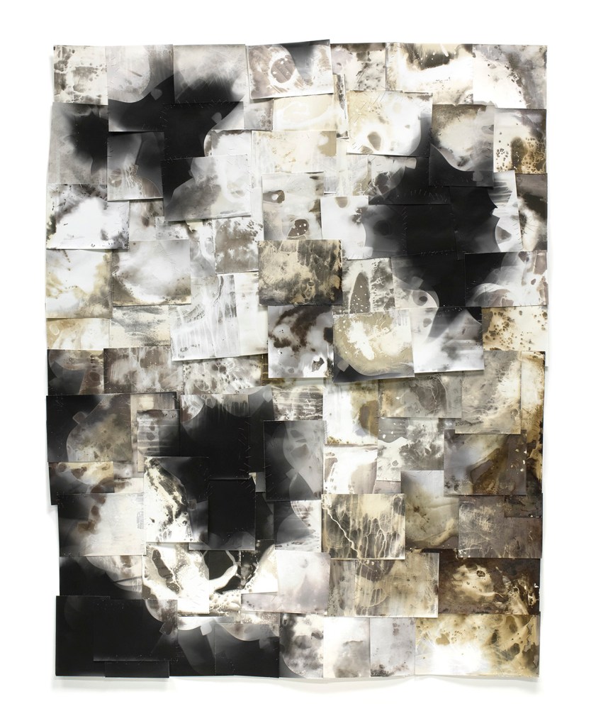 Stranded - 2024, gelatin silver paper, thread, varnish, 60" x 48"